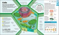 How Science Works: The Facts Visually Explained
