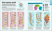 How Science Works: The Facts Visually Explained