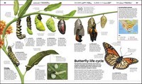 Knowledge Encyclopedia: The World as You've Never Seen It Before