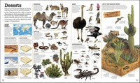 Picturepedia: an encyclopedia on every page