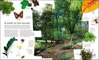 Chris Packham's Nature Handbook: Explore the Wonders of the Natural World