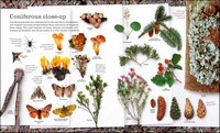 Chris Packham's Nature Handbook: Explore the Wonders of the Natural World
