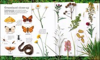 Chris Packham's Nature Handbook: Explore the Wonders of the Natural World