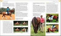 Complete Horse Riding Manual