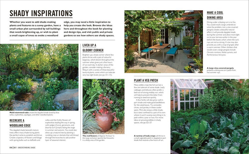 Grow Shade Garden: Essential Know-how and Expert Advice for Gardening Success