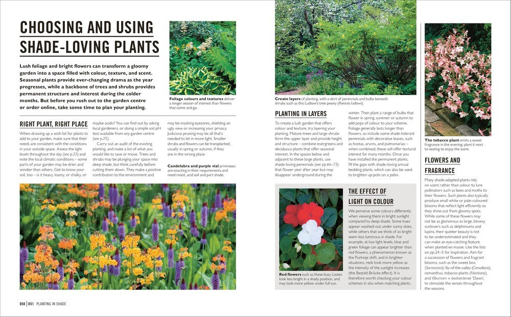 Grow Shade Garden: Essential Know-how and Expert Advice for Gardening Success
