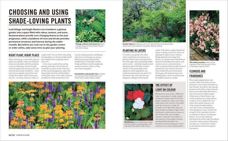 Grow Shade Garden: Essential Know-how and Expert Advice for Gardening Success