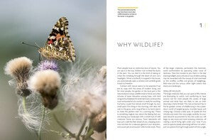 RHS Companion to Wildlife Gardening