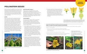 Vegetable Garden Problem Solver Handbook, The: Identify and manage diseases and other common problems on edible plants