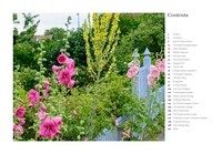 Cottage Garden, The