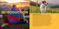 Every Dog Deserves an Adventure
