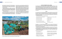 Simplify Vegetable Gardening: All the botanical know-how you need to grow more food and healthier edible plants