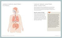 Healing Through the Vagus Nerve: Improve Your Body's Response to Anxiety, Depression, Stress, and Trauma Through Nervous System Regulation