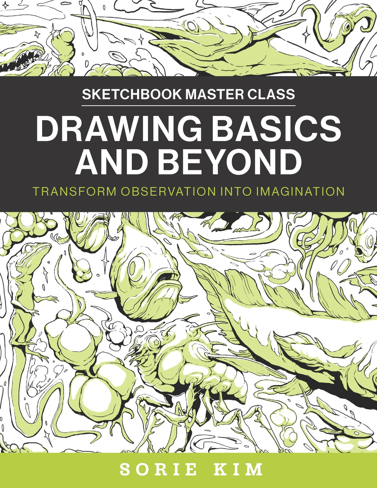 Drawing Basics and Beyond: Transform Observation into Imagination