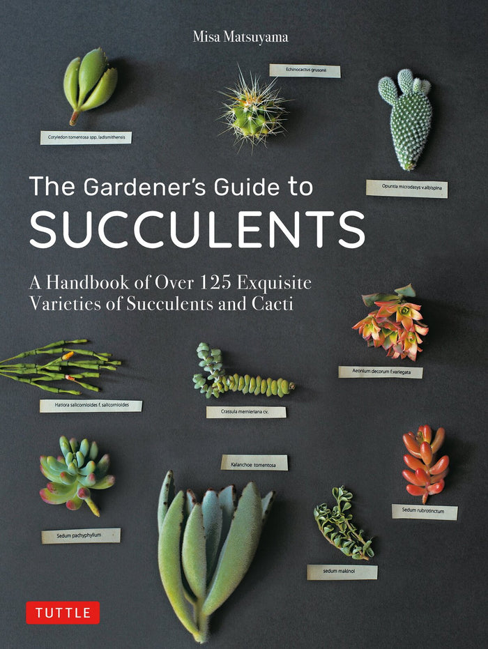 Gardener's Guide to Succulents, The: A Handbook of Over 125 Exquisite Varieties of Succulents and Cacti