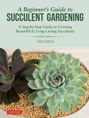 Beginner's Guide to Succulent Gardening