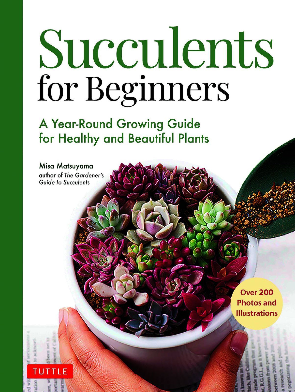 Succulents for Beginners: A Year-Round Growing Guide for Healthy and Beautiful Plants