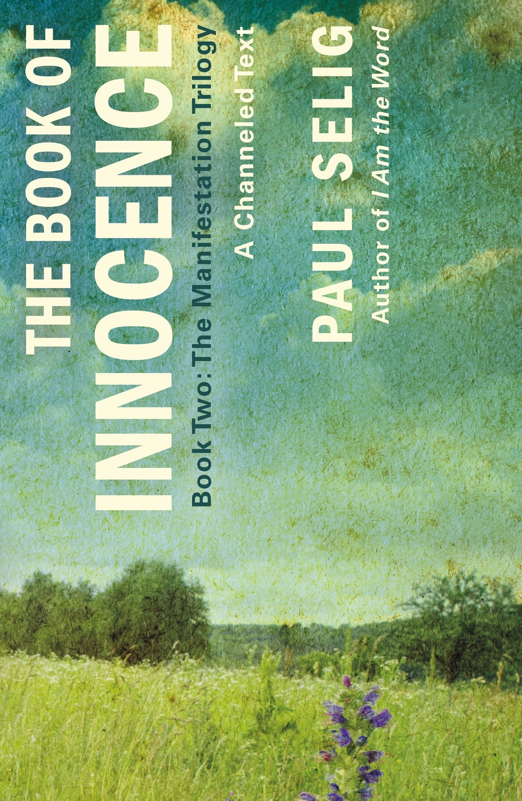 Book of Innocence, The