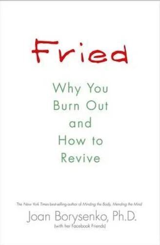 Fried: Why You Burn Out and How to Revive