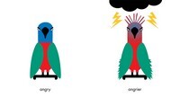 Comparrotives (A Grammar Zoo Book)