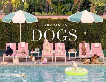 Gray Malin: Dogs: Photographs