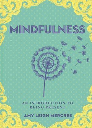Little Bit of Mindfulness  A