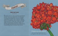 Green Witch's Guide to Magical Plants & Flowers, The: 26 Love Spells from Apples to Zinnias