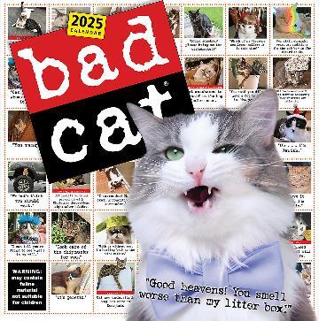 Bad Cat Wall Calendar 2025: Celebrating the Misfits of the Feline World
