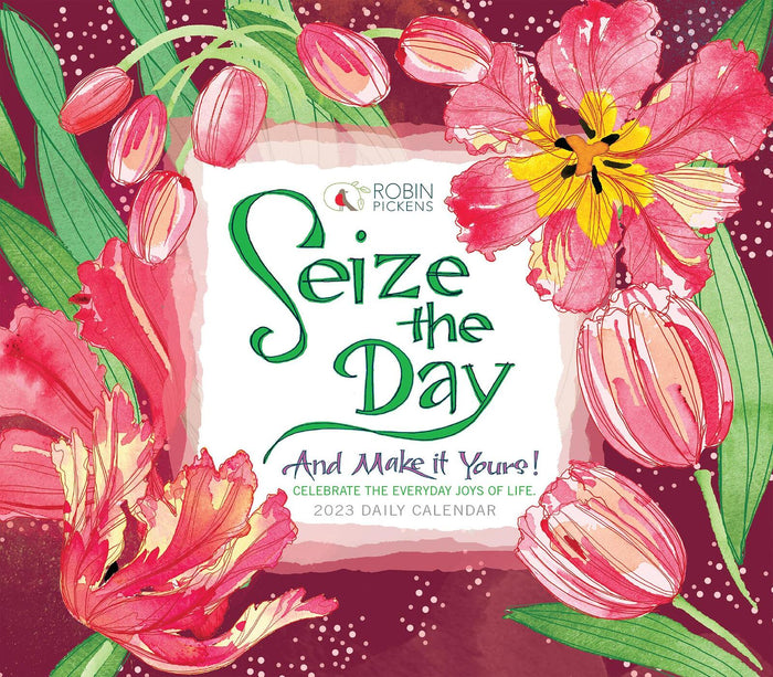 Seize the Day and Make it Yours 2023 Boxed Daily Calendar