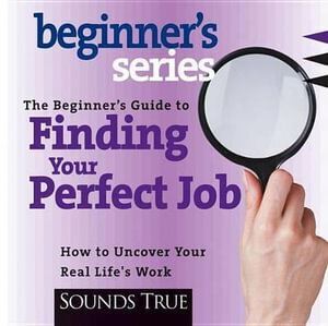 CD: Beginner's Guide to Finding Your Perfect Job (1 CD)