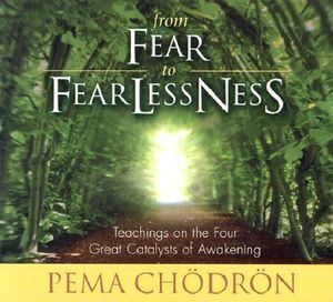 CD: From Fear to Fearlessness (2 CD)