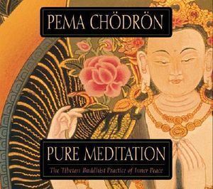 CD: Pure Meditation (2 CD)