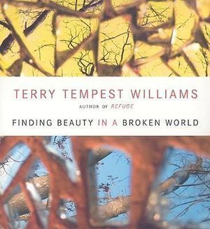 CD: Finding Beauty in a Broken World (3 CD)