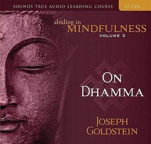 CD: Abiding in Mindfulness Volume 3 (16 CD)