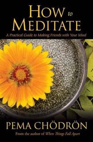 How to Meditate: A Practical Guide to Making Friends with Your Mind