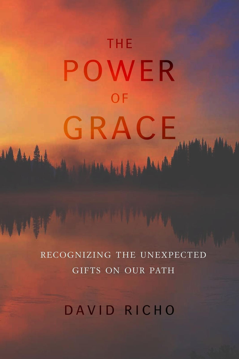 Power of Grace, The: Recognizing Unexpected Gifts on Our Path