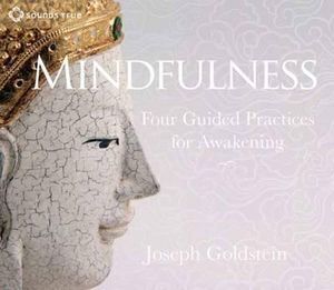 CD: Mindfulness (3CDs) (Joseph Goldstein)
