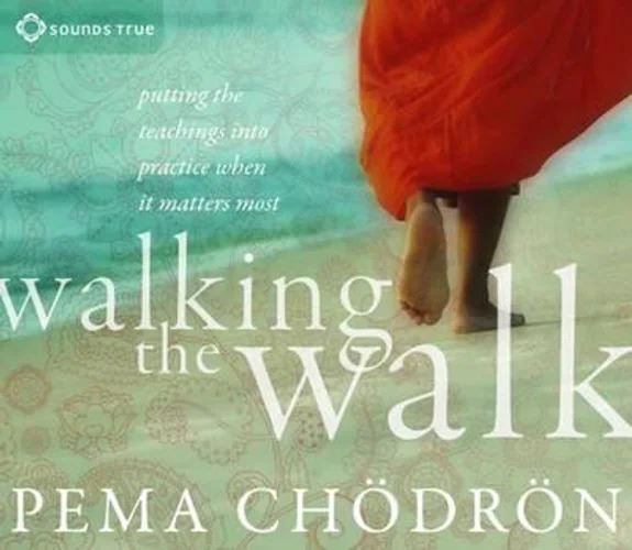 CD: Walking the Walk (4CDs)