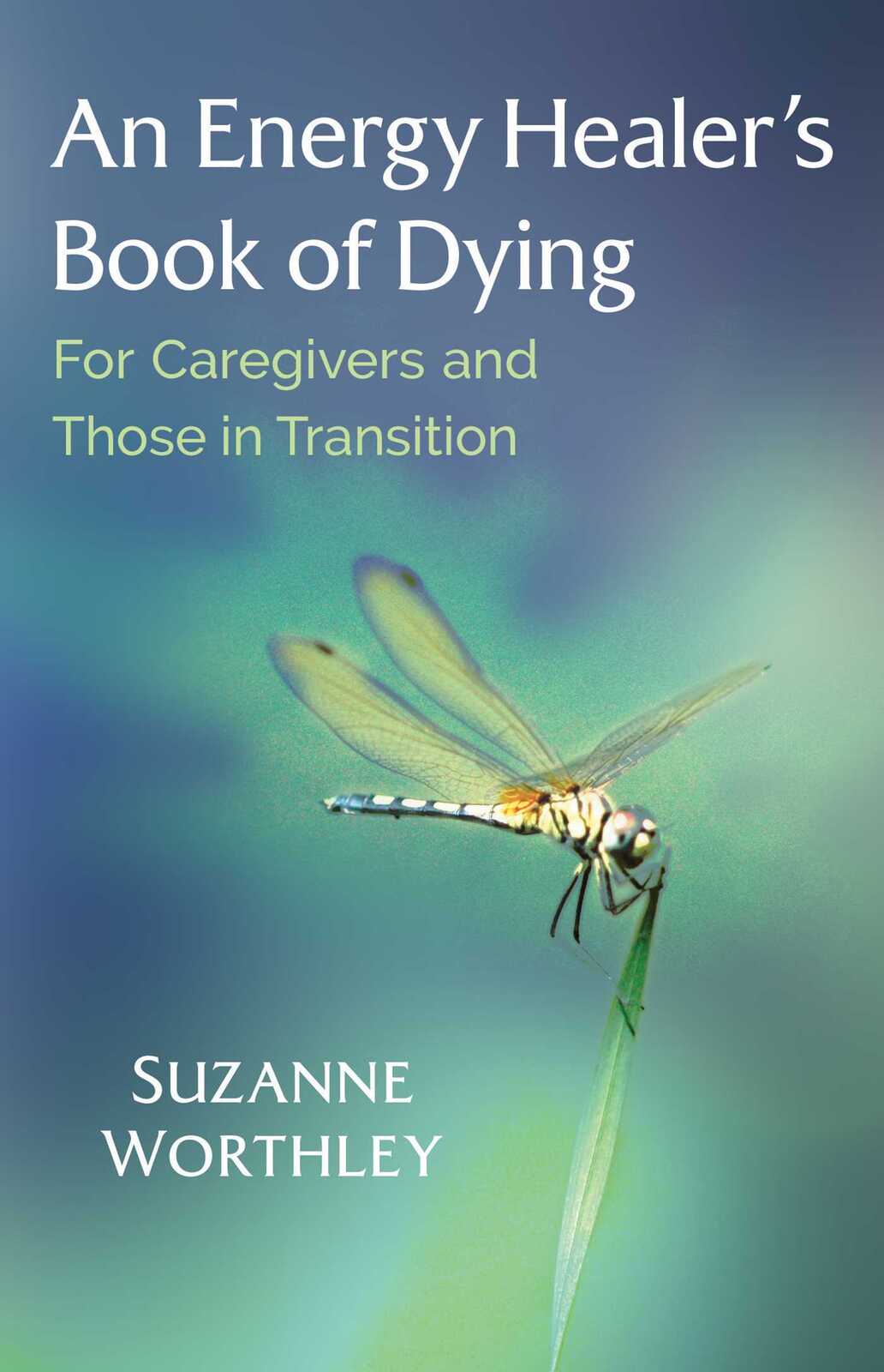 Energy Healer's Book of Dying, An: For Caregivers and Those in Transition