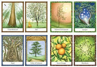 Tree Angel Oracle Deck: The Ancient Path into the Sacred Grove