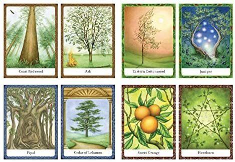 Tree Angel Oracle Deck: The Ancient Path into the Sacred Grove