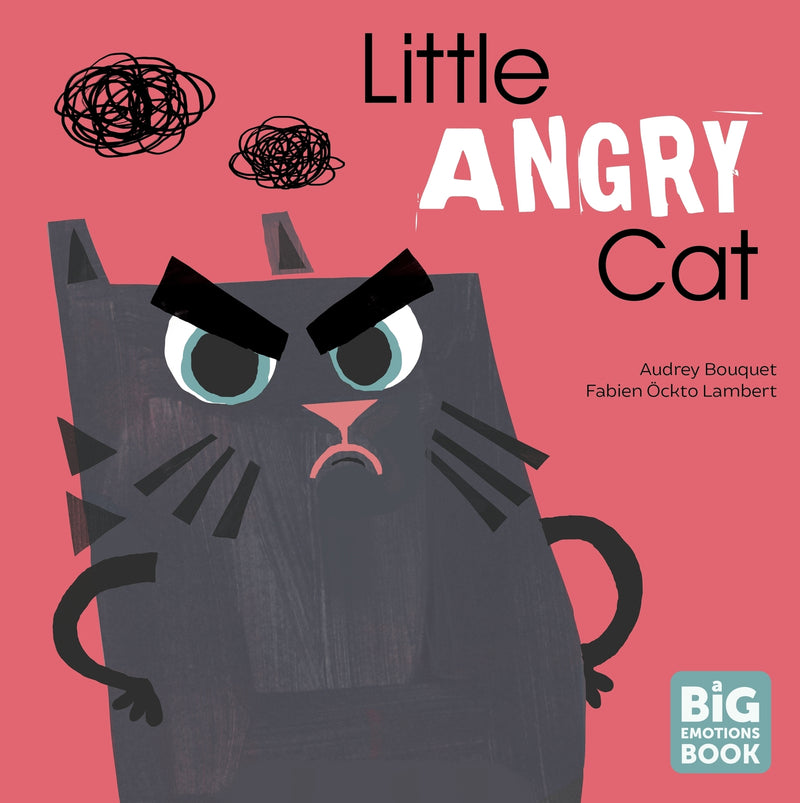 Little Angry Cat