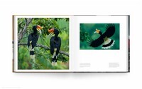 Bird Planet