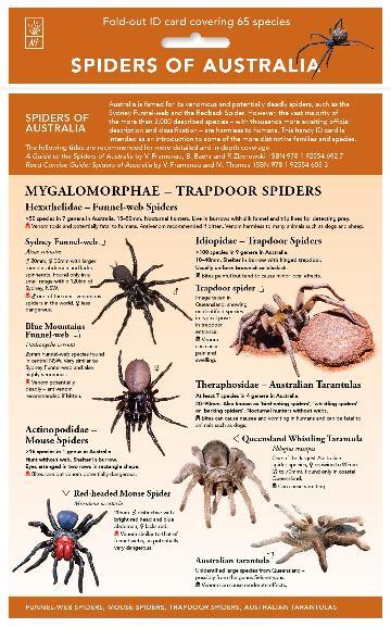 Spiders of Australia: Fold-out Id Chart Covering More Than 50 Key Spider Species and Families