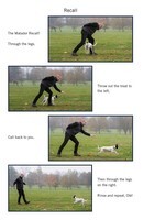 Easy Peasy Puppy Squeezy