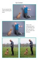 Easy Peasy Puppy Squeezy