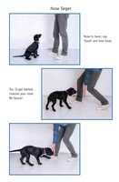 Easy Peasy Puppy Squeezy