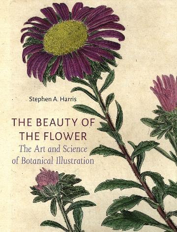 Beauty of the Flower, The: The Art and Science of Botanical Illustration