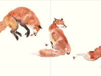 Fox: Accordion Book No 1