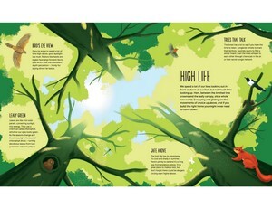 High: Soar to New Heights